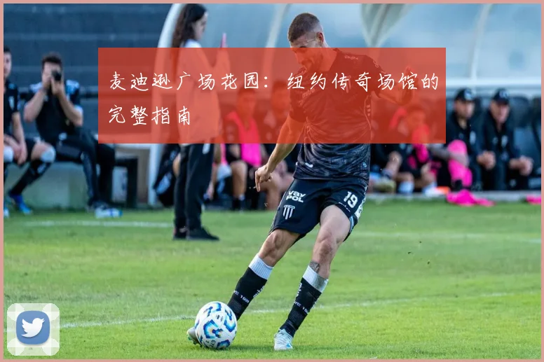 麦迪逊广场花园：纽约传奇场馆的完整指南