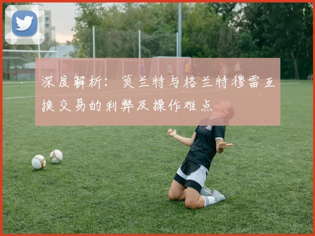 深度解析：莫兰特与格兰特穆雷互换交易的利弊及操作难点