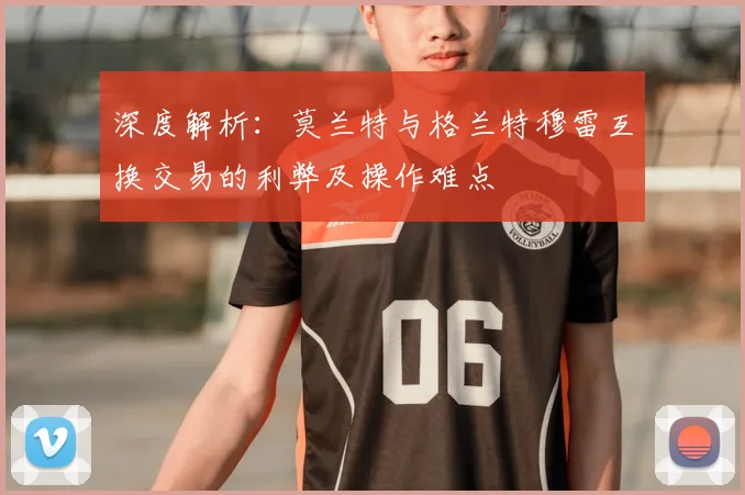 深度解析：莫兰特与格兰特穆雷互换交易的利弊及操作难点